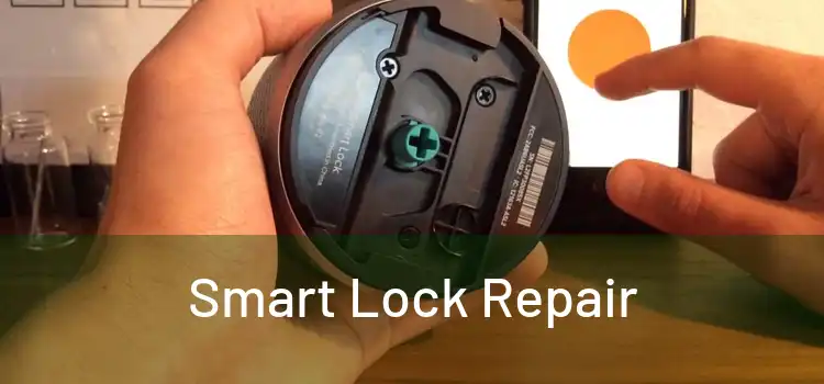  Smart Lock Repair 